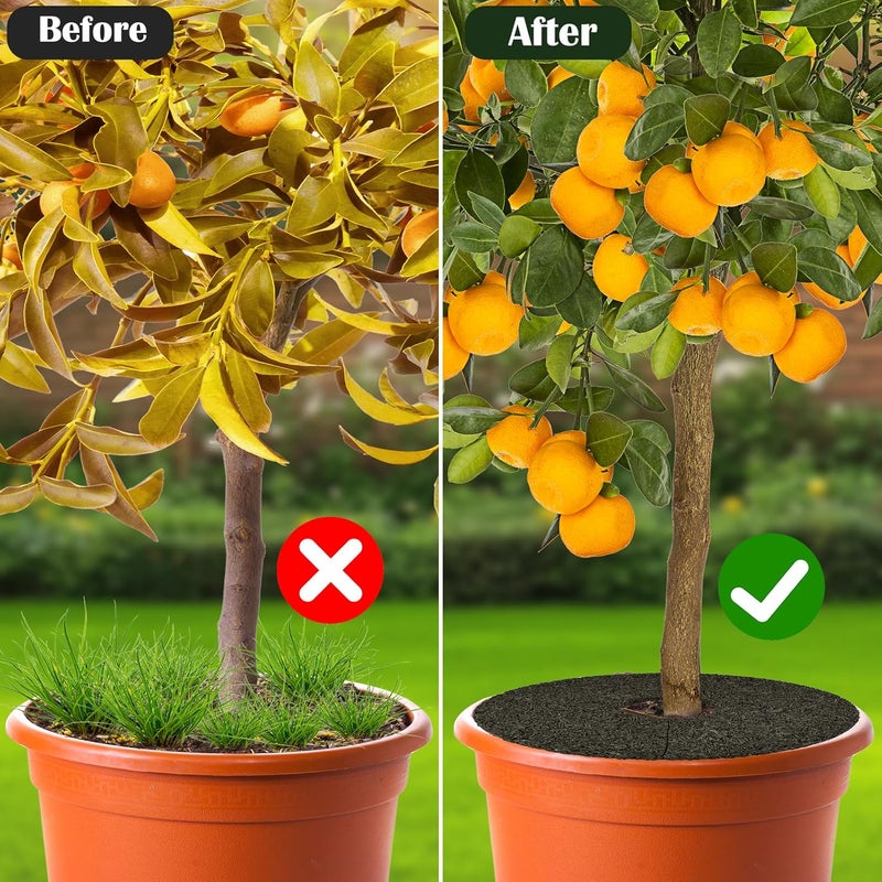 Waybas 4pcs Double Side Rubber Tree Mulch Ring, 12In Heavy Duty Recycled Rubber Mulch Mat Natural Look Tree Root Protector Mat Reversible Round Tree Ring for Prevent Animal Dig, (Green Brown) - Image 3